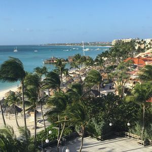 Meet your Posher, Billy